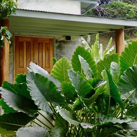 Casa Salvaje Vacation Rentals Bocas Town Luaran gambar