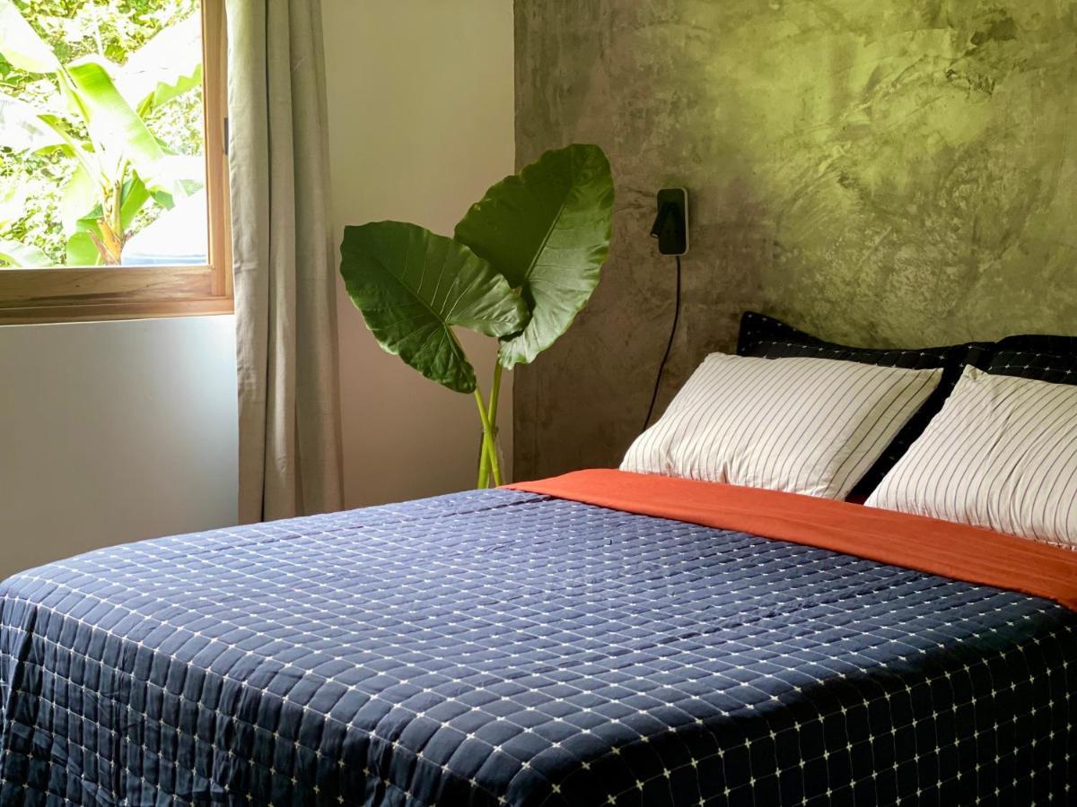 Casa Salvaje Vacation Rentals Bocas Town Luaran gambar