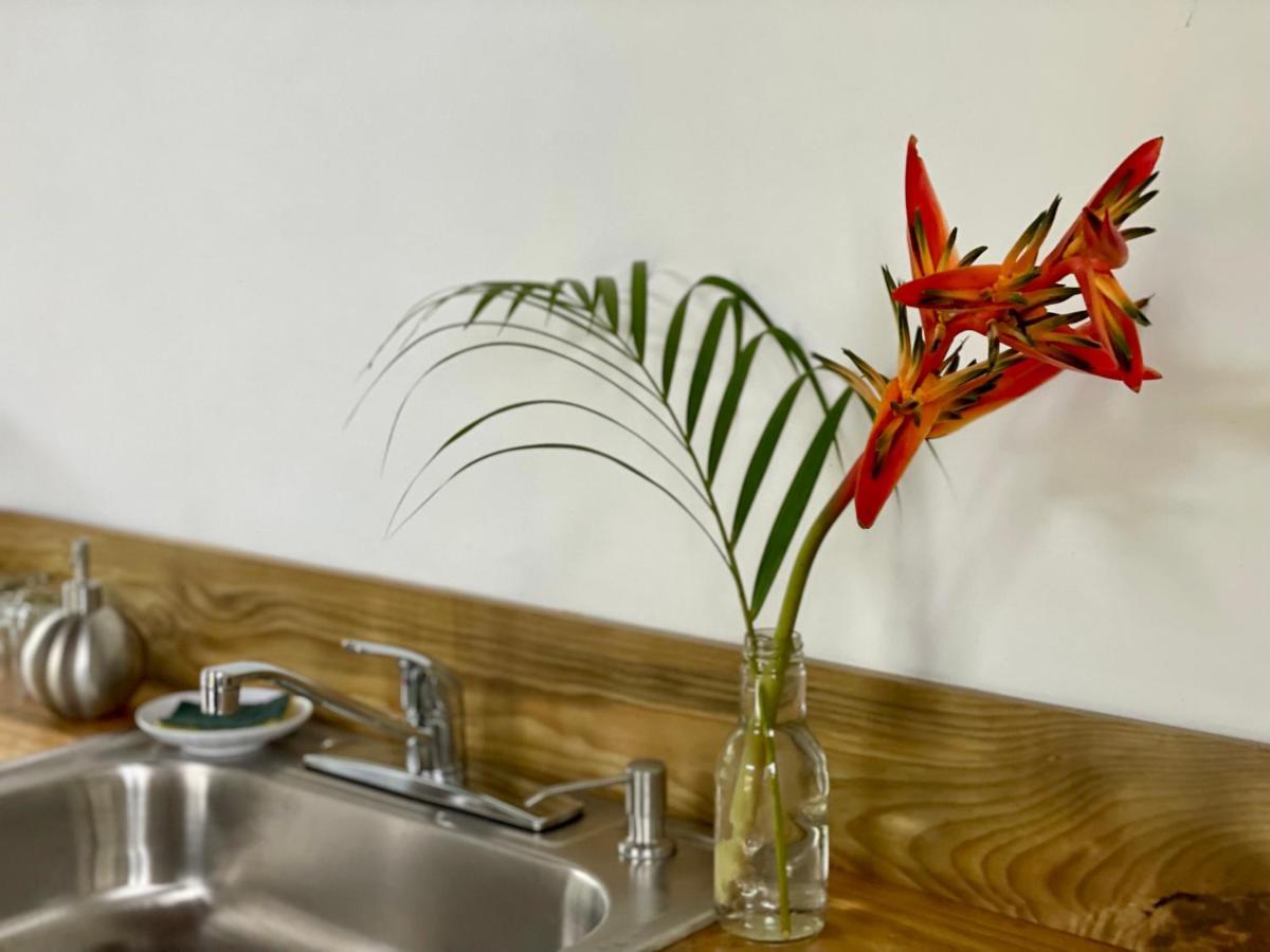 Casa Salvaje Vacation Rentals Bocas Town Luaran gambar