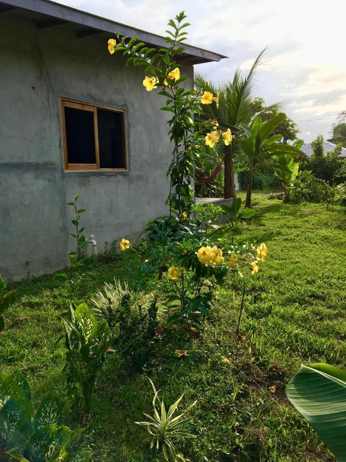 Casa Salvaje Vacation Rentals Bocas Town Luaran gambar