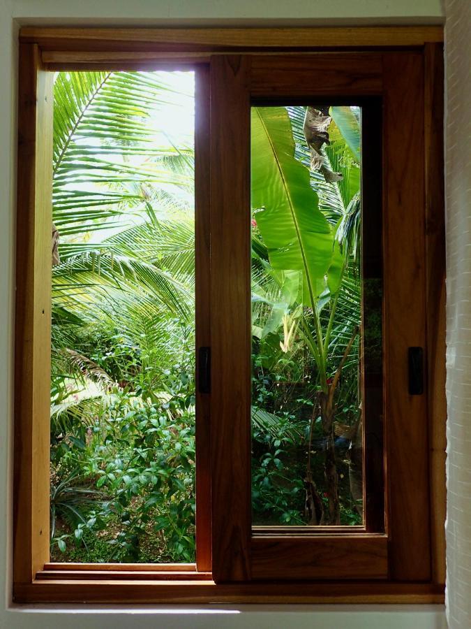 Casa Salvaje Vacation Rentals Bocas Town Luaran gambar