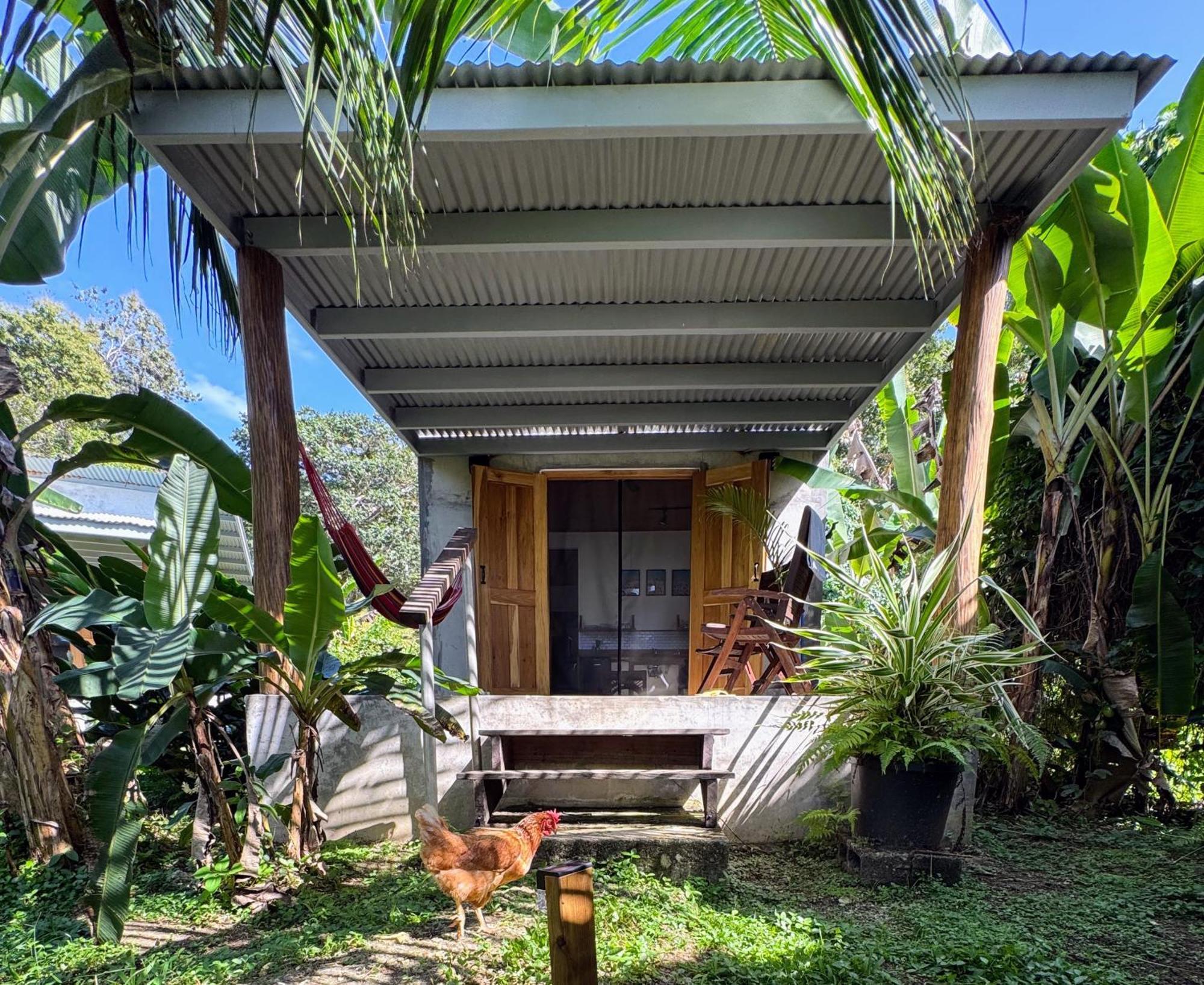 Casa Salvaje Vacation Rentals Bocas Town Luaran gambar