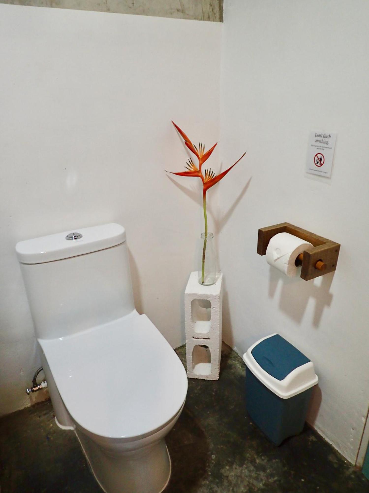 Casa Salvaje Vacation Rentals Bocas Town Luaran gambar
