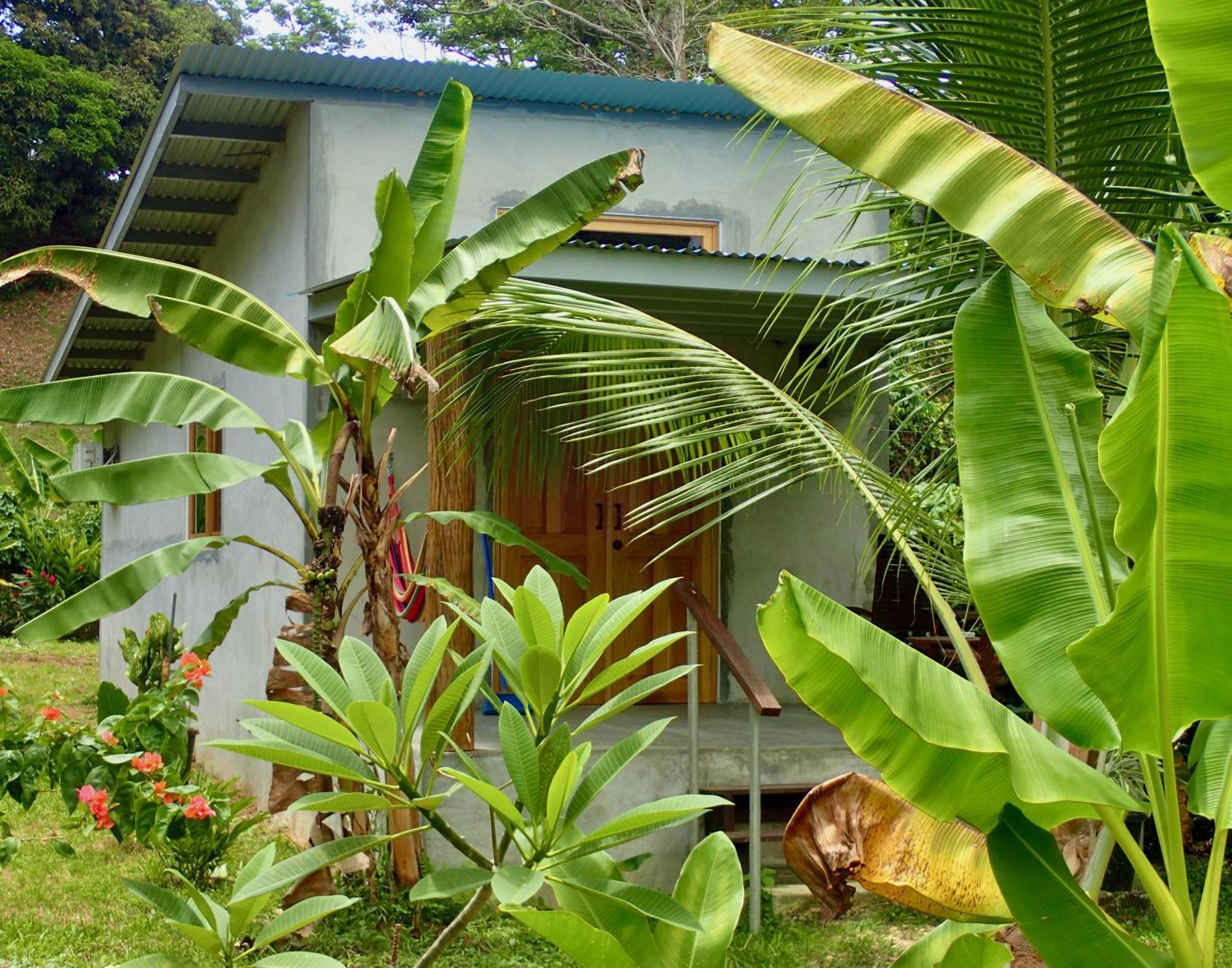 Casa Salvaje Vacation Rentals Bocas Town Luaran gambar