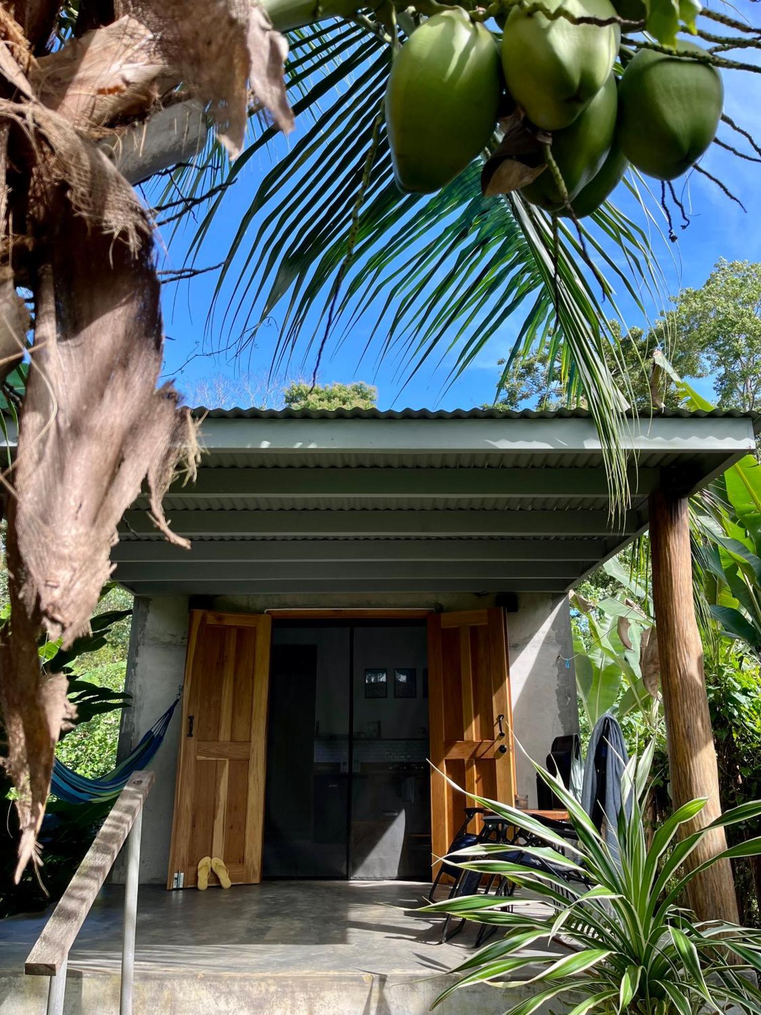 Casa Salvaje Vacation Rentals Bocas Town Luaran gambar